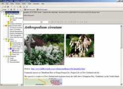 pbl.massey.ac.nz Frap