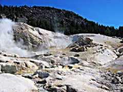 discovernortherncalifornia.com Fraska