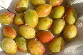 valledelgiovenco.it Fratina