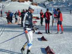 Fredrikson
