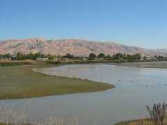 Fremont
