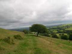 geograph.org.uk Frenni