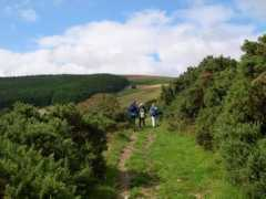 geograph.org.uk Frenni