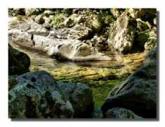 panoramio.com Freschezza