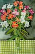 Fresias