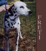 Freti