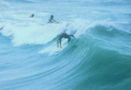 sandhillcity.com Frifeldt