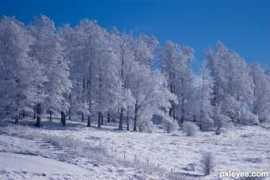 pxleyes.com Frigid