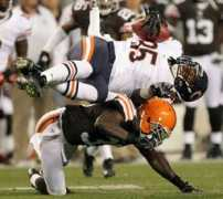 thebrownsboard.com Fringo