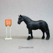 Frisian