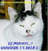 spasaverne67.free.fr Friskette