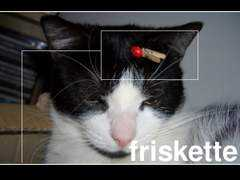 jmtrivial.info Friskette