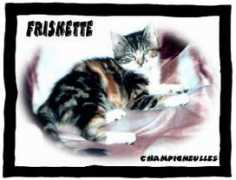 cec.gerard.free.fr Friskette