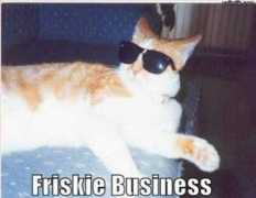 Friskie