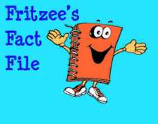 educationworld.in Fritzee