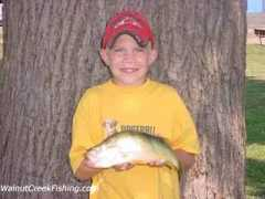 fishlakeerie.com Fritzley