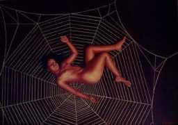 ioarte.org Frizzotti