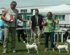 beagle-jackrussel.cz Frnco
