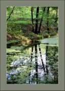 photoforum.ru Froger