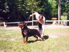 wcrotts.com Froni