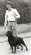 v1rottweiler.com Froni
