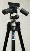 Frotto
