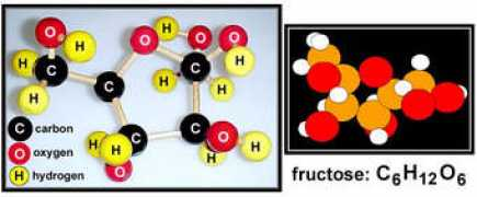 Fructos