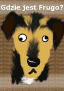african-wild-dog.deviantart.com Frugo