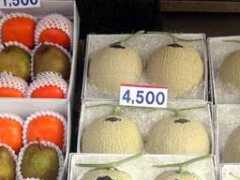 frognation.com Frutis