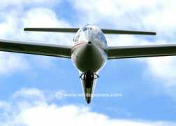 whiteplanes.co.uk Fryy