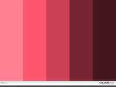 colourlovers.com Fsdfds