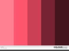 colourlovers.com Fsdfds