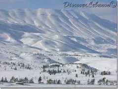 discoverlebanon.com Fuccello