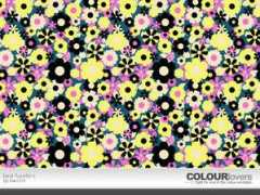 colourlovers.com Fucello