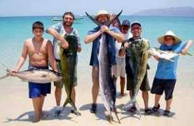 mexfish.com Fucsik