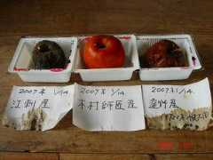 cheziguchi.com Fuhai