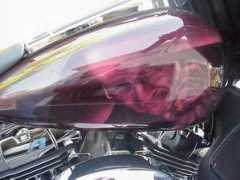 purpleharley.com Fulesi