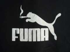 Fuma