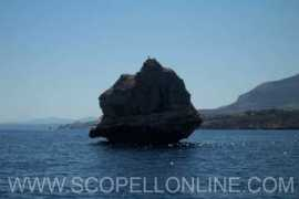 scopellonline.com Funcia