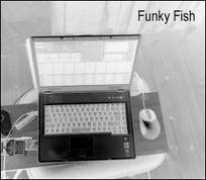Funkyfish