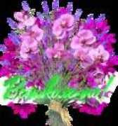 Funlove