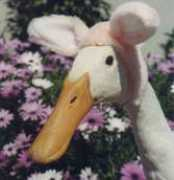 edhat.com Funnybunny
