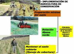 Fuquene