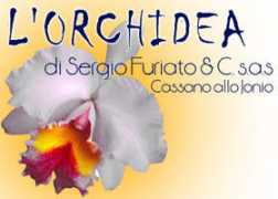 lauropoli.it Furiato