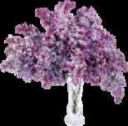 sanalkahve.com Furim