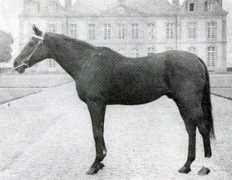 Furioso