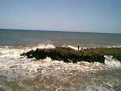 torresnet.com.br Furnado