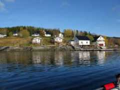 kingsanglingholidays.co.uk Furoy