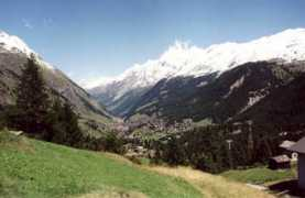 Furri