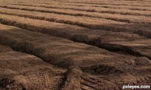 Furrow